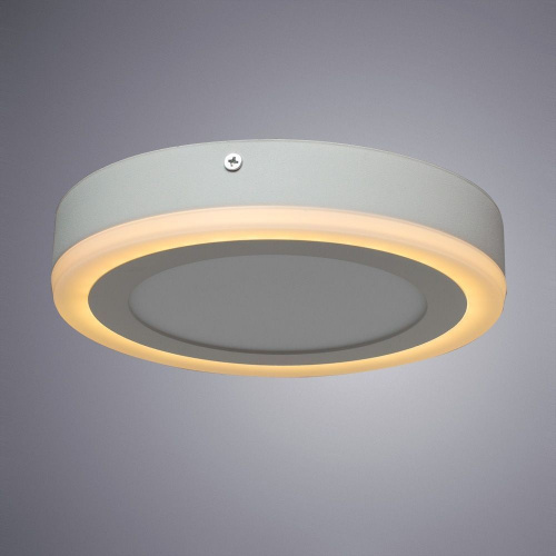 Светодиодный потолочный светильник Arte Lamp ANTARES A7816PL-2WH