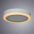 Светодиодный потолочный светильник Arte Lamp ANTARES A7816PL-2WH