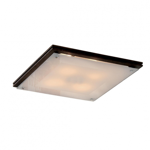 Настенно-потолочный светильник CITILUX 937/938 CL938541