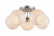 Потолочная люстра ST Luce Palloni SL716.502.05