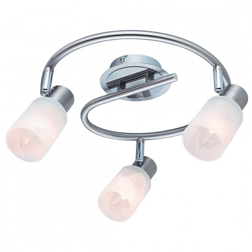 Потолочный светильник Arte Lamp CAVALLETTA A4510PL-3SS