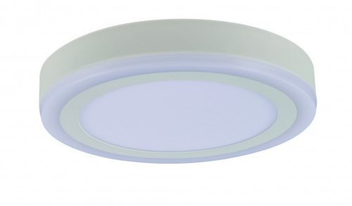 Светодиодный потолочный светильник Arte Lamp ANTARES A7824PL-2WH