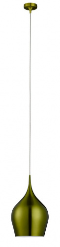 Потолочный светильник Arte Lamp VIBRANT A6426SP-1GR