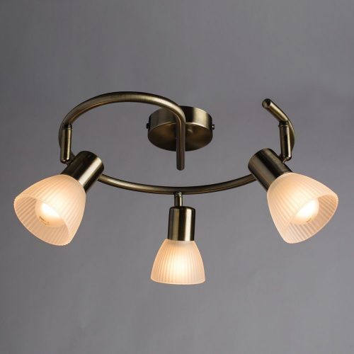 Потолочный светильник Arte Lamp PARRY A5062PL-3AB