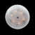 Потолочная люстра Lightstar ZUCCHE 820860 купить по низкой цене