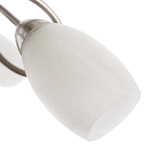 Потолочный светильник Arte Lamp MUTTI A8616PL-3SS