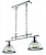 Подвесной светильник Arte Lamp OGLIO A9273SP-2CC