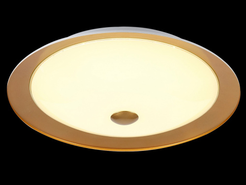 Светодиодный потолочный светильник MAYTONI Euler CL815-PT35-G