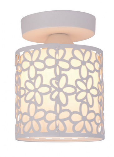 Потолочный светильник Arte Lamp TRAFORATO A8349PL-1WH