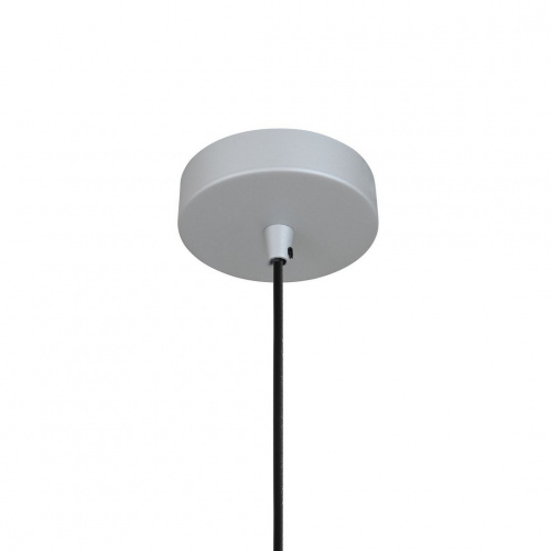 Подвесной светильник FAVOURITE Otium 2270-1P