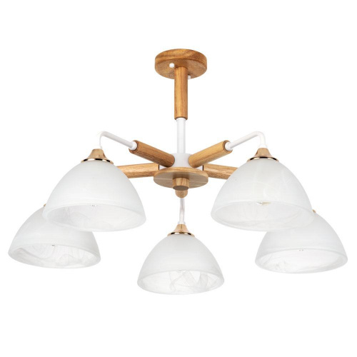 Потолочная люстра Arte Lamp Matthew A5032PL-5BR купить по низкой цене