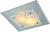 Настенно-потолочный светильник Arte Lamp ARIEL A4807PL-1CC