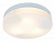 Накладной светильник Arte Lamp AQUA A3211PL-3WH