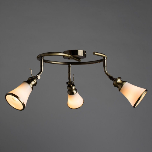 Потолочный светильник Arte Lamp VENTO A9231PL-3AB