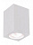 Накладной светильник Arte Lamp TUBO A9264PL-1WH