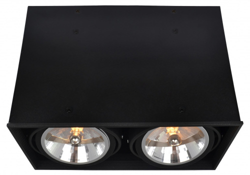 Технический светильник Arte Lamp CARDANI A5936PL-2BK