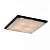 Настенно-потолочный светильник CITILUX 937/938 CL938541