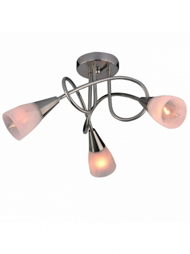 Потолочный светильник Arte Lamp MUTTI A6713PL-3SS