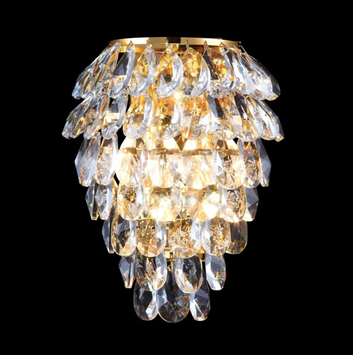 CHARME AP3 GOLD/TRANSPARENT купить не дорого