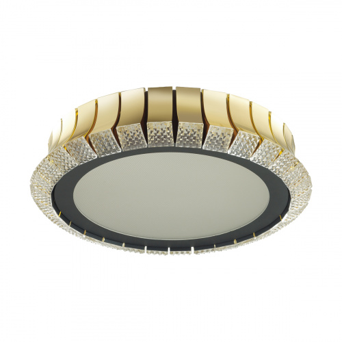 Потолочная люстра Odeon Light ASTURO 4994/75L купить по низкой цене