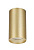 Светильник потолочный Crystal Lux CLT 015C GO