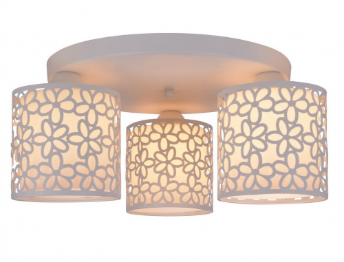 Потолочный светильник Arte Lamp TRAFORATO A8349PL-3WH