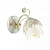 Бра LUMION FLORANA 3002/1W