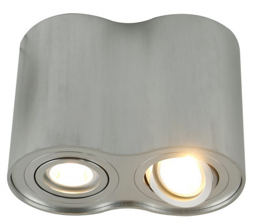 Накладной светильник Arte Lamp FALCON A5644PL-2SI