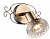 Спот Arte Lamp FOCUS A5219AP-1AB