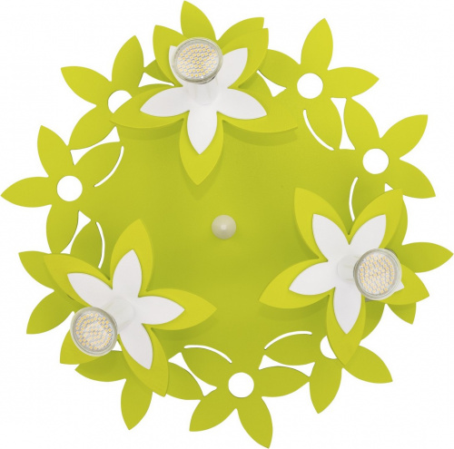 Потолочный светильник Nowodvorski FLOWERS 6900