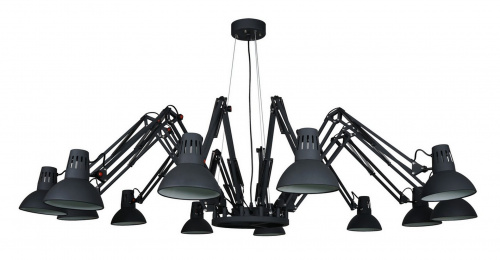 Подвесная люстра Arte Lamp Ragno Black A2043SP-12BK купить по низкой цене