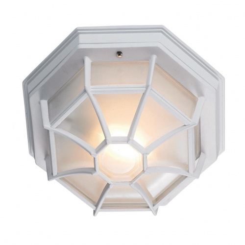 Уличный потолочный светильник Markslojd Nina 100395