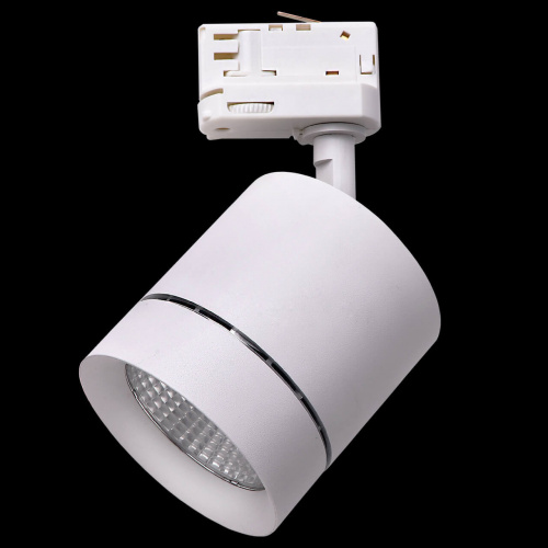 Светодиодный трековый светильник Lightstar Canno 301562