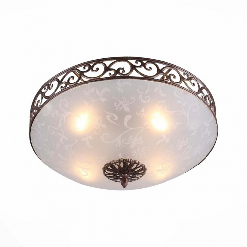 Потолочный светильник ST Luce SL244 SL244.202.04
