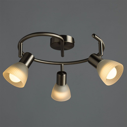 Потолочный светильник Arte Lamp PARRY A5062PL-3SS