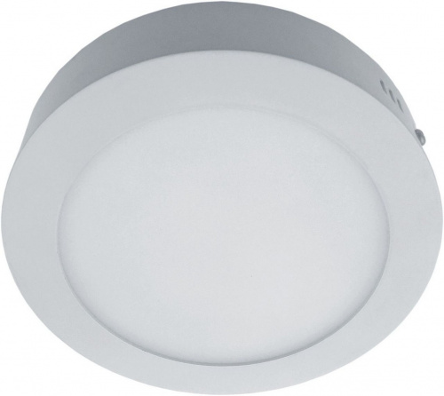 Светодиодный накладной светильник Arte Lamp ANGOLO A3008PL-1WH