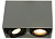 Накладной светильник Arte Lamp PICTOR A5655PL-2WH