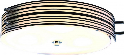 Потолочный светильник ST Luce SL484 SL484.542.04