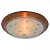 Настенно-потолочный светильник Arte Lamp TIANA A4043PL-1CC