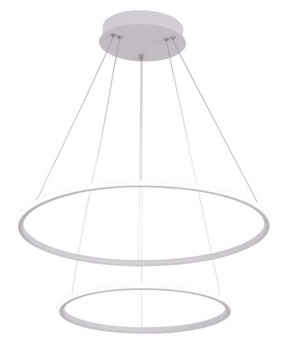 Светодиодный подвесной светильник Arte Lamp RAPID A2500SP-2WH
