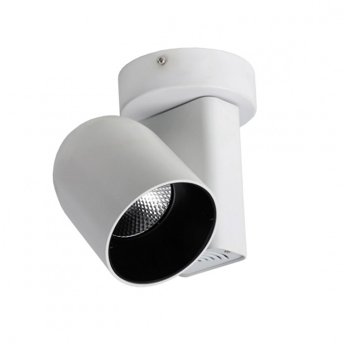Светодиодный потолочный светильник FAVOURITE Projector 1984-1U