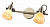 Спот Arte Lamp TULIP A9581AP-2AB