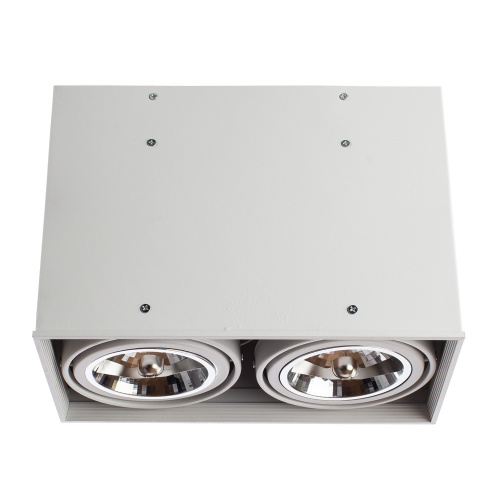 Накладной светильник Arte Lamp Cardani White A5936PL-2WH