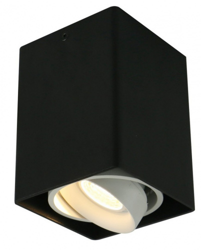 Накладной светильник Arte Lamp PICTOR A5655PL-1BK