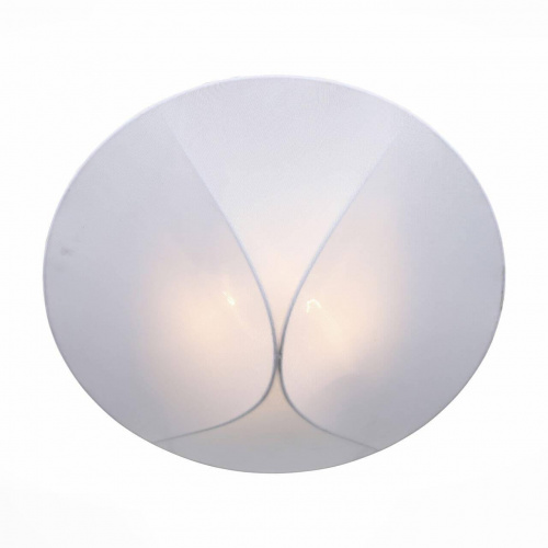 Потолочный светильник ST Luce Tonico SL360.552.02