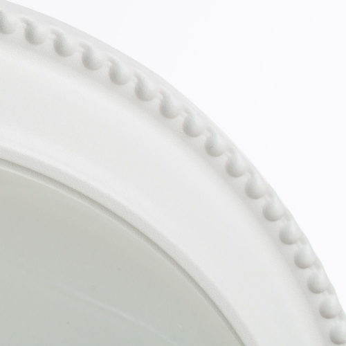 Потолочный светильник Arte Lamp PORCH A1305PL-2WH