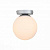 Потолочный светильник ST Luce ACINI SL717.501.01