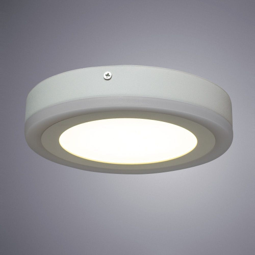 Светодиодный потолочный светильник Arte Lamp ANTARES A7816PL-2WH