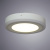 Светодиодный потолочный светильник Arte Lamp ANTARES A7816PL-2WH