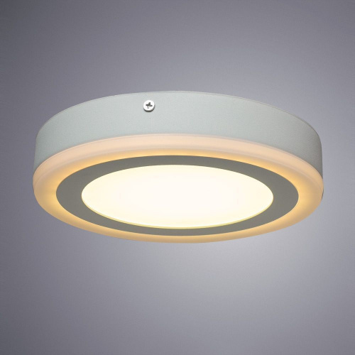 Светодиодный потолочный светильник Arte Lamp ANTARES A7816PL-2WH